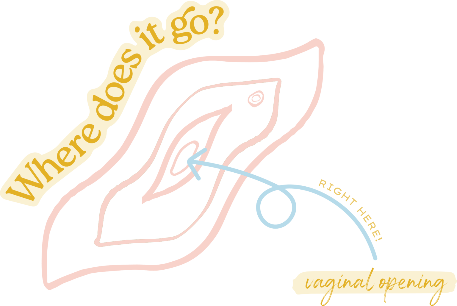 How to Insert a Tampon Like a Pro Betty