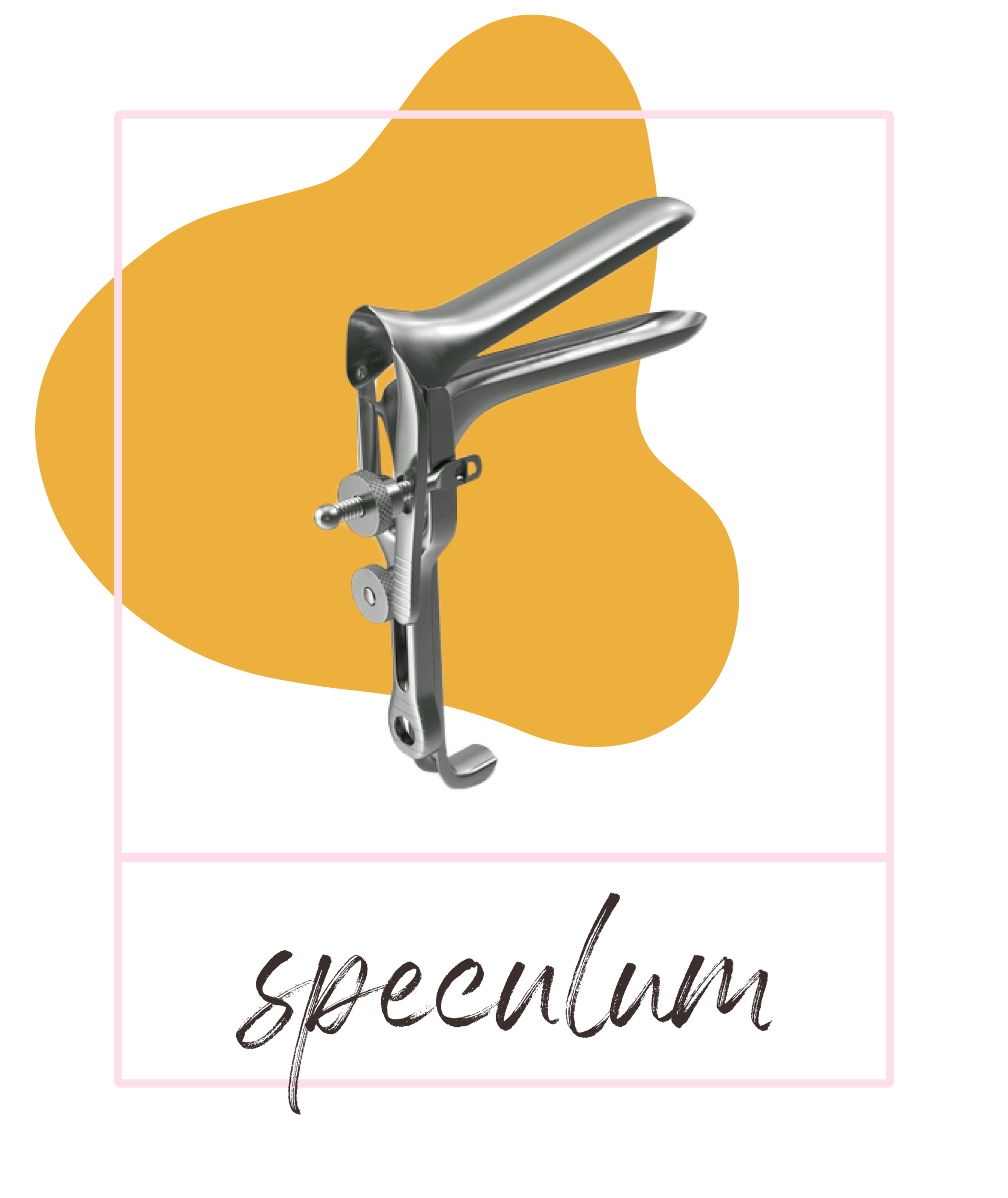 What Is A Speculum Your Pelvic Exam Questions Answered Bettys Co